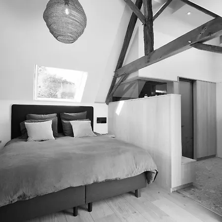 Charly 132 Ronquieres