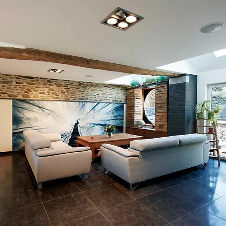 Charly 132 Ronquieres