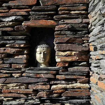 Charly 132 Bed & Breakfast Ronquieres